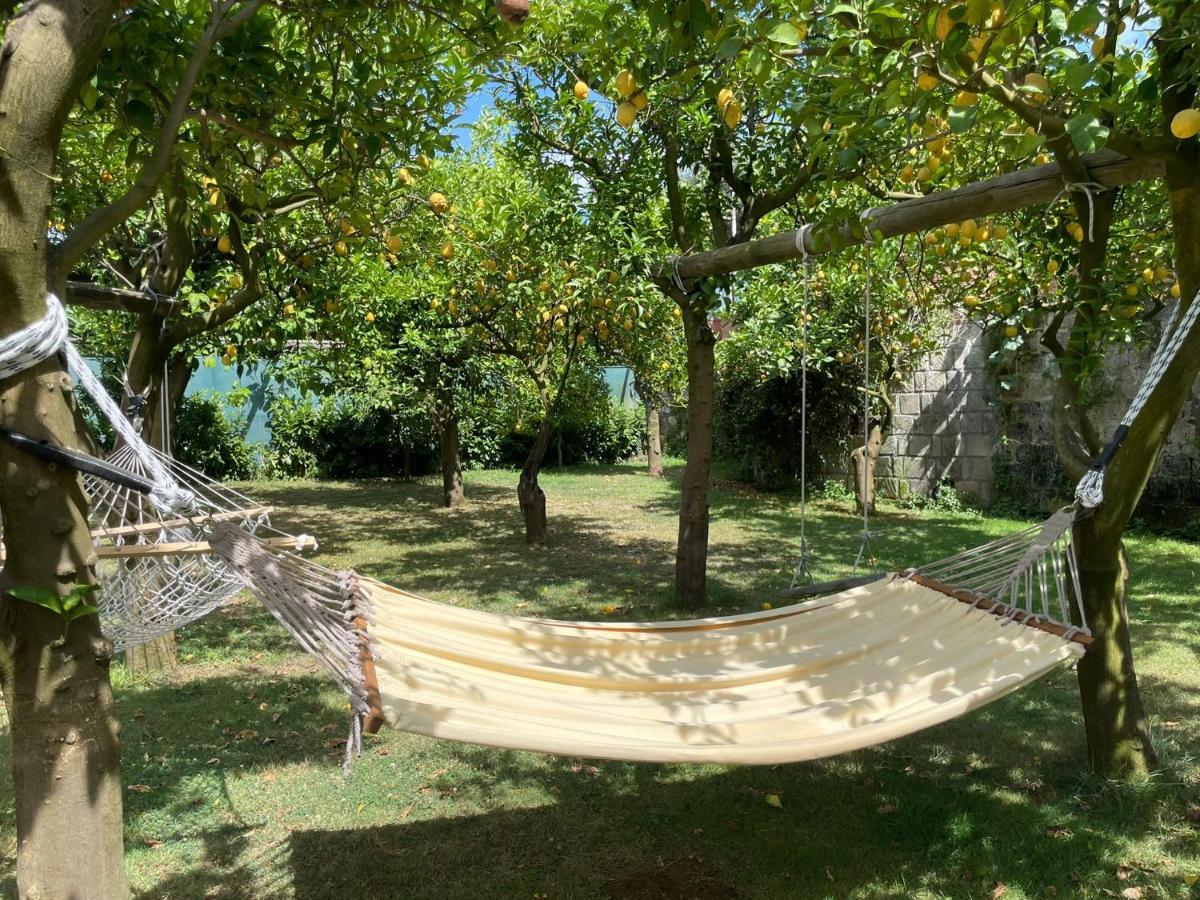 CASA SORRENTO, immerso nel verde a pochi passi dal centro Esterno foto