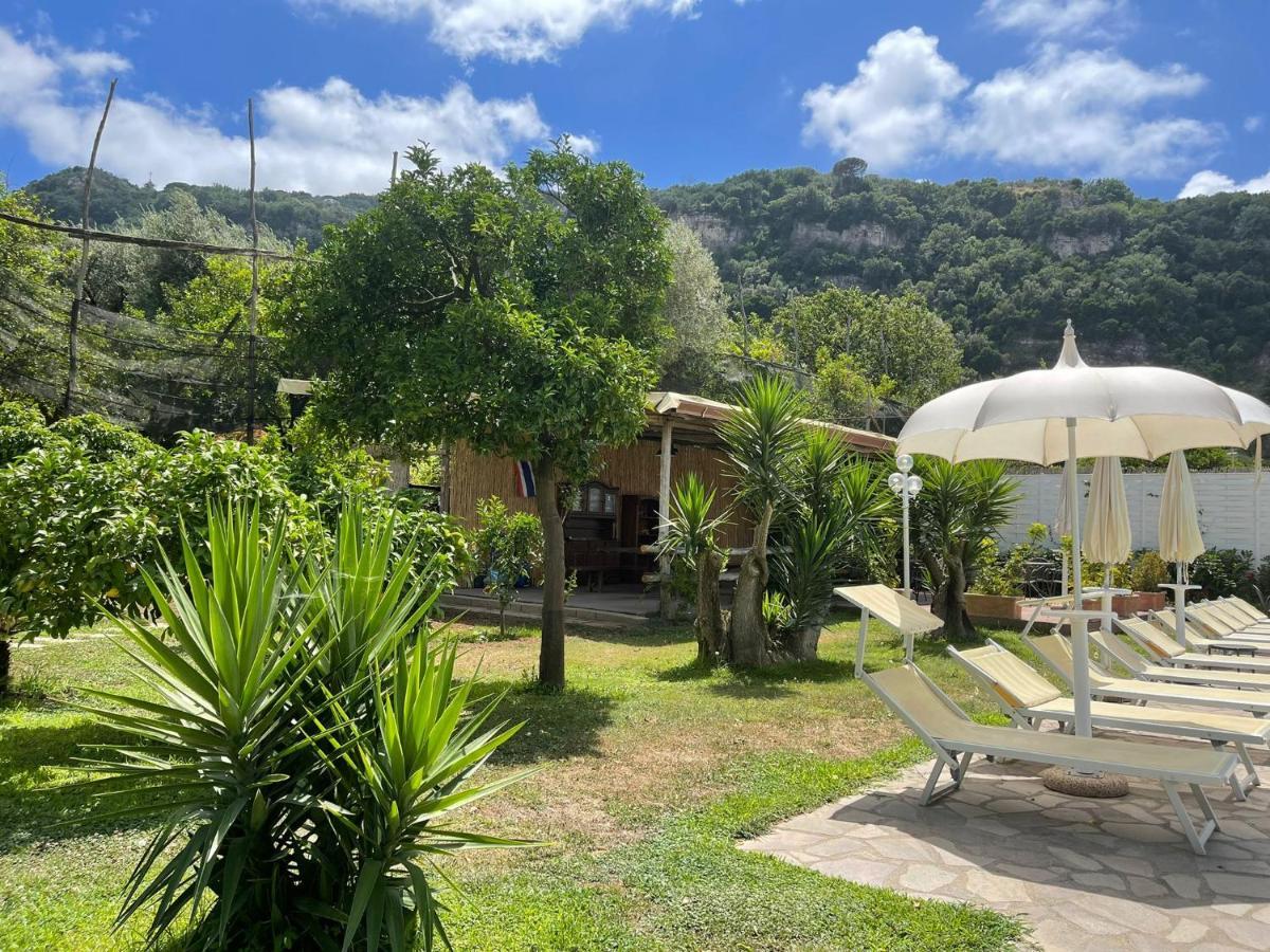 CASA SORRENTO, immerso nel verde a pochi passi dal centro Esterno foto