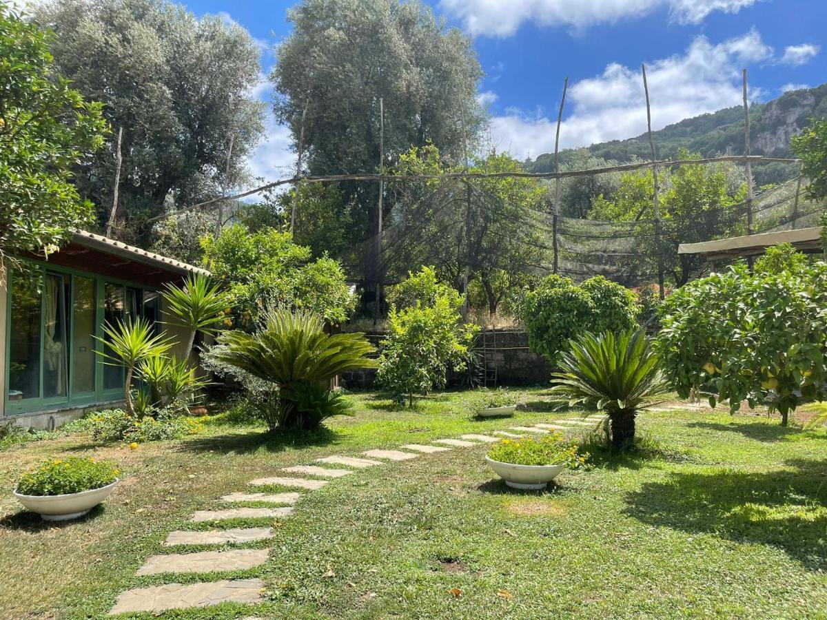 CASA SORRENTO, immerso nel verde a pochi passi dal centro Esterno foto